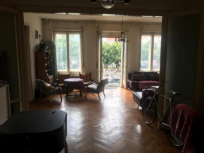spacious apartman in the center